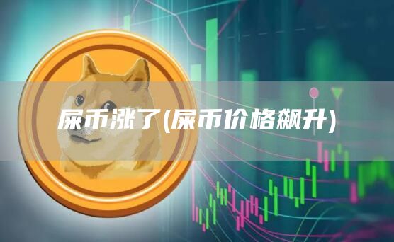 屎币涨了 - 屎币价格飙升